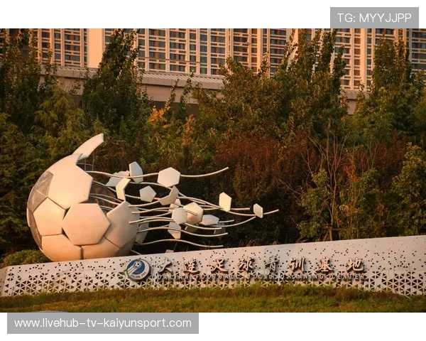 鲁能与城市合作的商业化尝试初见成效