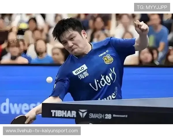 尹航：樊振东反手表现突出，状态持续向好，樊振东领队